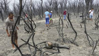 Presiden Aljazair Perintahkan Hukuman Mati bagi Pelaku Pembakaran Hutan