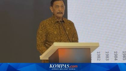 DEN Jelaskan Maksud Pernyataan Luhut soal Bansos, Angka Ketidakakuratan Belum Turun di Bawah 5 Persen