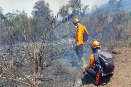 BNPB: Karhutla meluas di lima kawasan pegunungan di Jatim