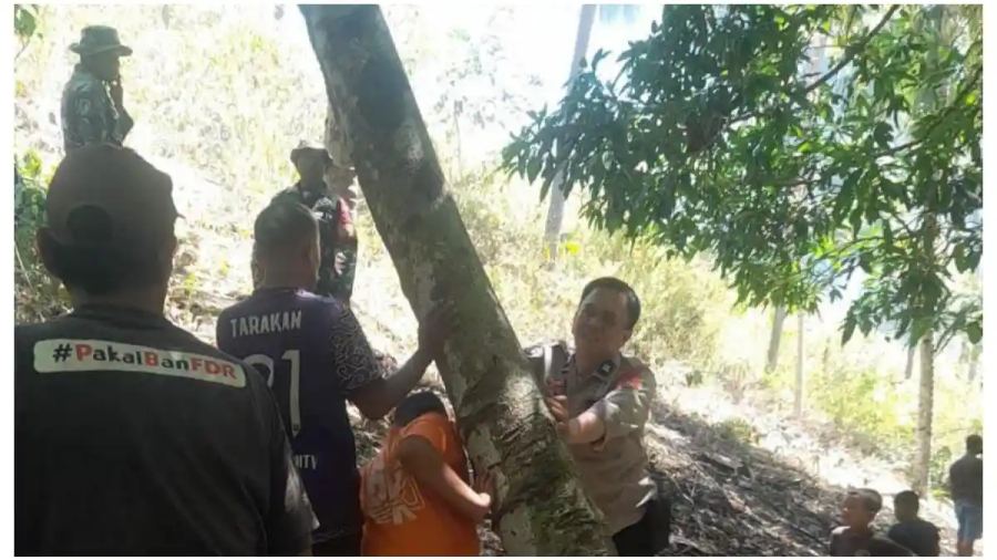 Kebakaran Lahan di Selayar Belum Padam, Titik Api di Atas Bukit Sulit Dijangkau Damkar
