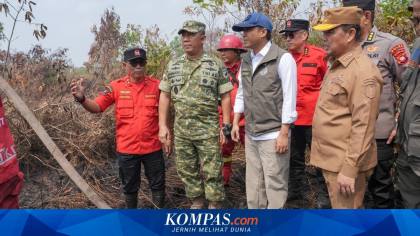 Menhut Cek Kebakaran Hutan di Kalbar, Singgung soal Asap