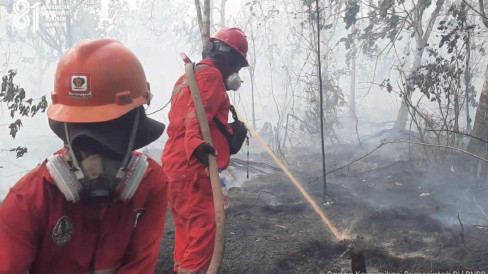 BMKG Deteksi 473 Titik Panas di Kalimantan Selatan, Terbanyak di Hulu Sungai Selatan