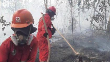 BMKG Deteksi 473 Titik Panas di Kalimantan Selatan, Terbanyak di Hulu Sungai Selatan