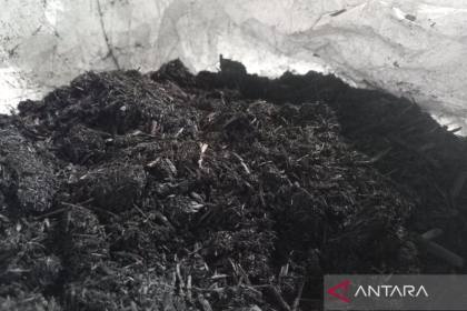 ABII nilai Indonesia berpeluang jadi pemasok Biochar global