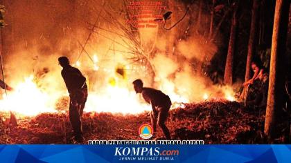 Jadi Penyebab Karhutla, BNPB Minta Warga Tak Bakar Sampah Serampangan