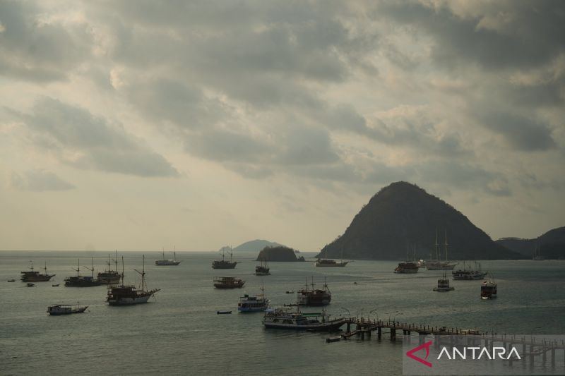 Sepekan, penanganan gempa NTT dan karhutla hingga muktamar NU
