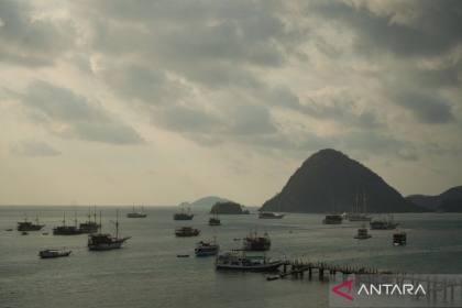 Sepekan, penanganan gempa NTT dan karhutla hingga muktamar NU
