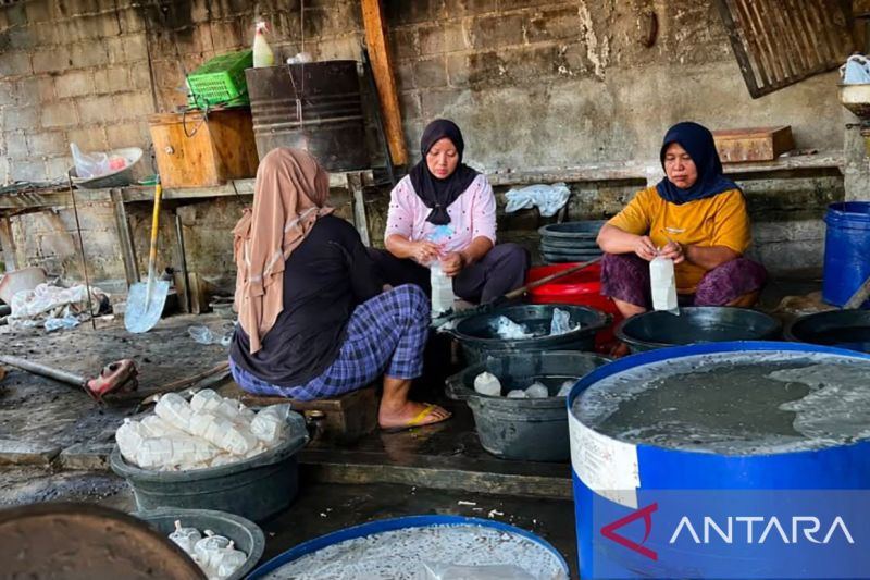 Kemendikti: Ragi tempe perlu dilindungi sebagai aset biologis RI