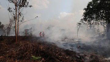 Kualitas Udara Kalbar Masih Bahaya, Jarak Pandang di Bawah 1 Km