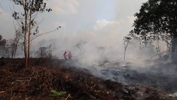 Kualitas Udara Kalbar Masih Bahaya, Jarak Pandang di Bawah 1 Km