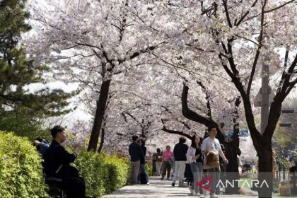 10 kota paling ramah mahasiswa untuk kuliah 2027 versi QS