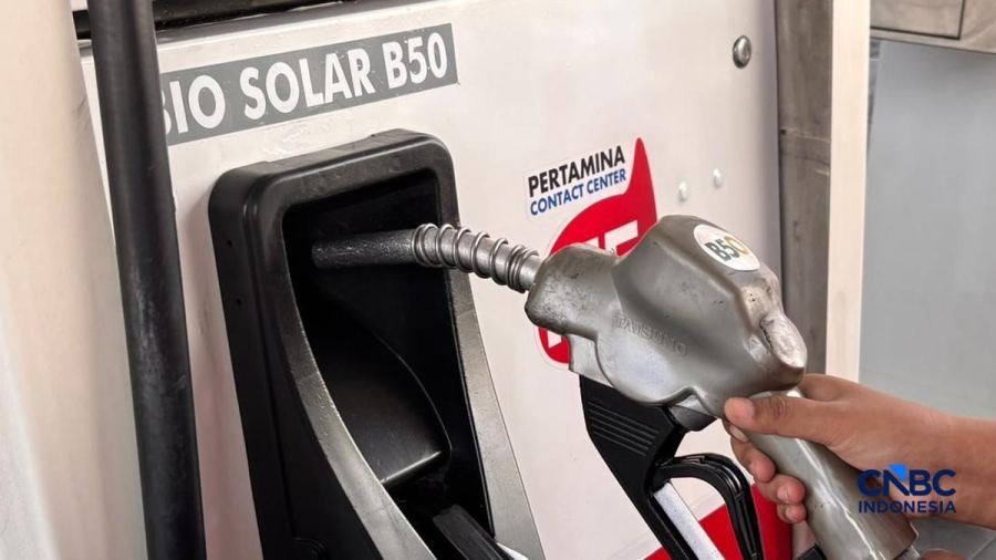 Harga CPO Naik-Diramal ke US$1.720, RI Makan Buah Simalakama Efek B50?