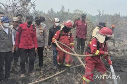 Menhut janji tambah sumur hidran guna antisipasi karhutla berulang 