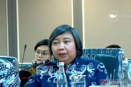 Komnas HAM minta penanganan karhutla lindungi hak warga terdampak