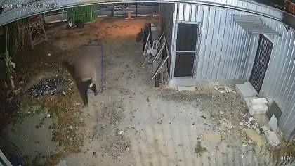 Terekam CCTV, Pria Nekat Gasak HP dan Uang Tunai di Kolaka Saat Korban Tertidur