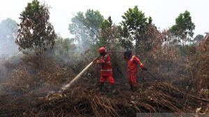 Bareskrim Kumpulkan 250 PPNS Lintas Kementerian Menyelaraskan Persepsi Hukum