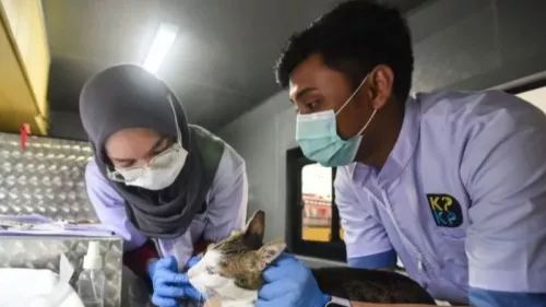 Pangandaran Diguncang Gempa Magnitudo 4,1, Getaran Terasa Hingga Bandung