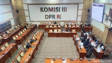 Pakar di Rapat RUU Perampasan Aset: Kalau Harimau-Gajah Jadi Aset Gimana?