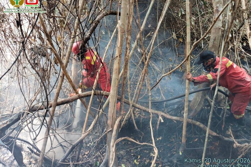 BNPB laporkan Kota Pekanbaru alami perbaikan kualitas udara