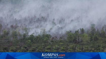 KLH Usut 19 Perusahaan Terkait Karhutla di Kalimanan dan Sumatera