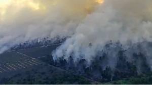 Info BMKG: Debu Vulkanik Gunung Dukono Terdeteksi Capai Ketinggian 2,1 Km