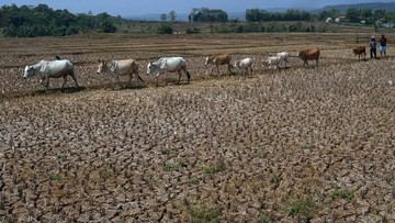 Apakah September Masih Kemarau?