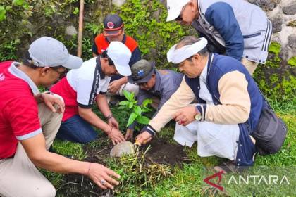 Hutan terbakar, perlu reboisasi atau penghijauan? Ini bedanya