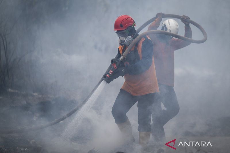 BNPB berhasil padamkan 71.274 hektare lahan gambut di enam provinsi