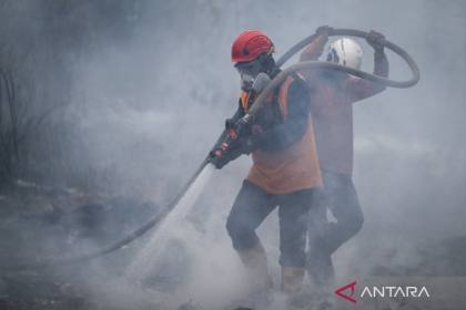 BNPB berhasil padamkan 71.274 hektare lahan gambut di enam provinsi