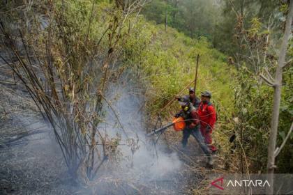 BNPB ajak masyarakat cegah karhutla, lapor jika temukan titik api