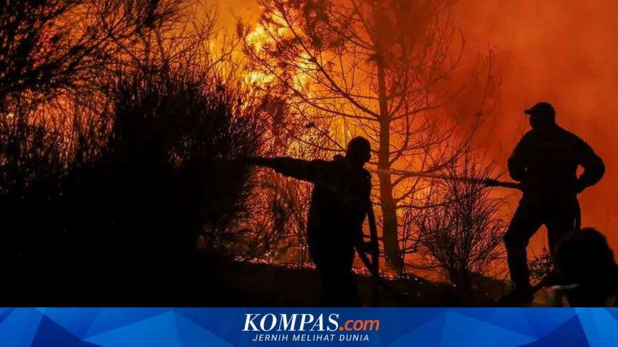 Menhut Raja Juli: Indonesia Belum Aman Karhutla di Tengah El Nino