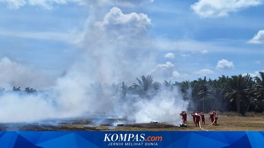 Karhutla Ancam Produktivitas Sawit hingga Ketersediaan Air Bersih