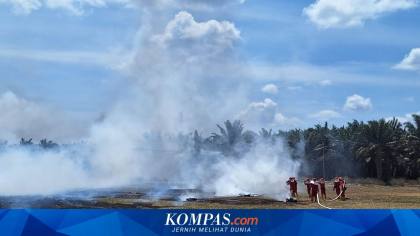 Karhutla Ancam Produktivitas Sawit hingga Ketersediaan Air Bersih