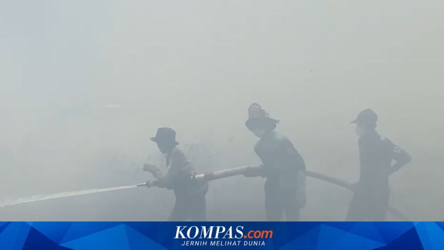 Penanganan Karhutla: Kapal dan Heli Jepang Bersiap, Satwa Jadi Perhatian