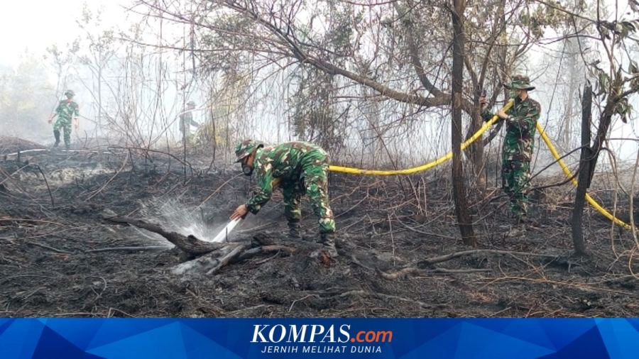 Prabowo Bangga Kebakaran Hutan di Riau Seluas 15.000 Hektare Berhasil Ditangani