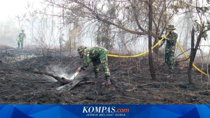 Prabowo Bangga Kebakaran Hutan di Riau Seluas 15.000 Hektare Berhasil Ditangani